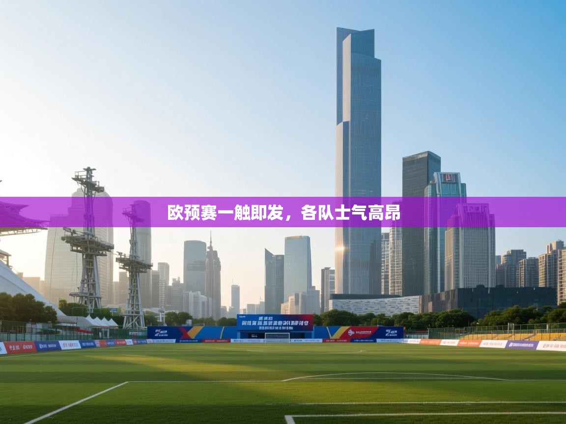 欧预赛一触即发，各队士气高昂  第2张