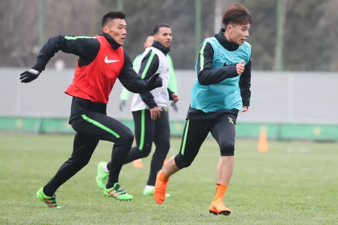 包含解读球队备战计划，教练组全力备战的词条