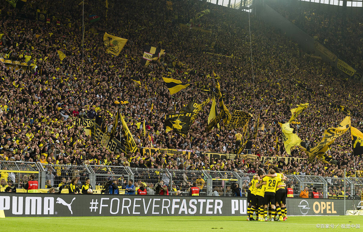 狼队取得主场胜利,重回胜利轨道 狼队取得主场胜利,重回胜利轨道